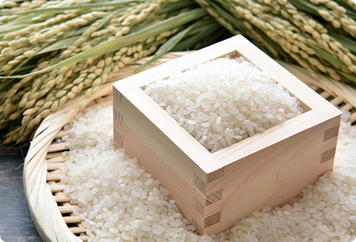 近江鹿深のこだわりのお米「鹿深米(かふかまい)」を使用